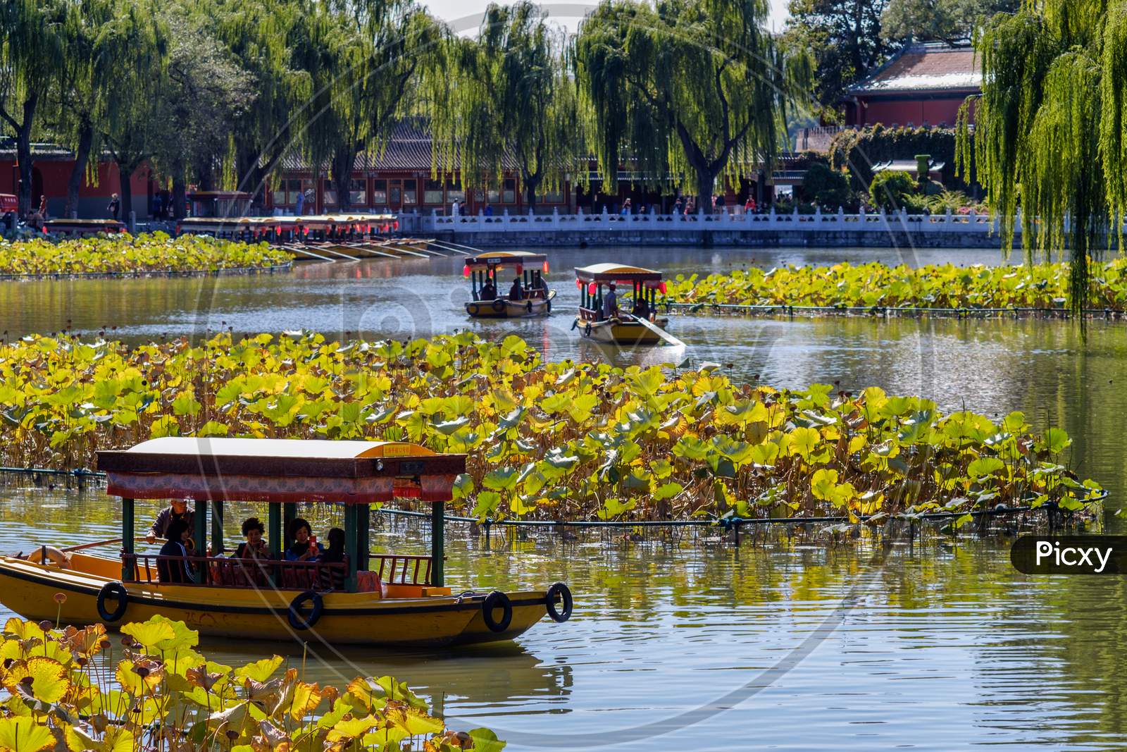 People Enjoying Boat Ride In Old Imperial Gardens Of Beihai Lake, Beihai Park In Beijing