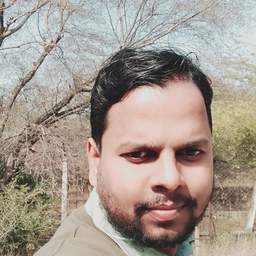 Profile picture of Lokesh Kumar Saini on picxy