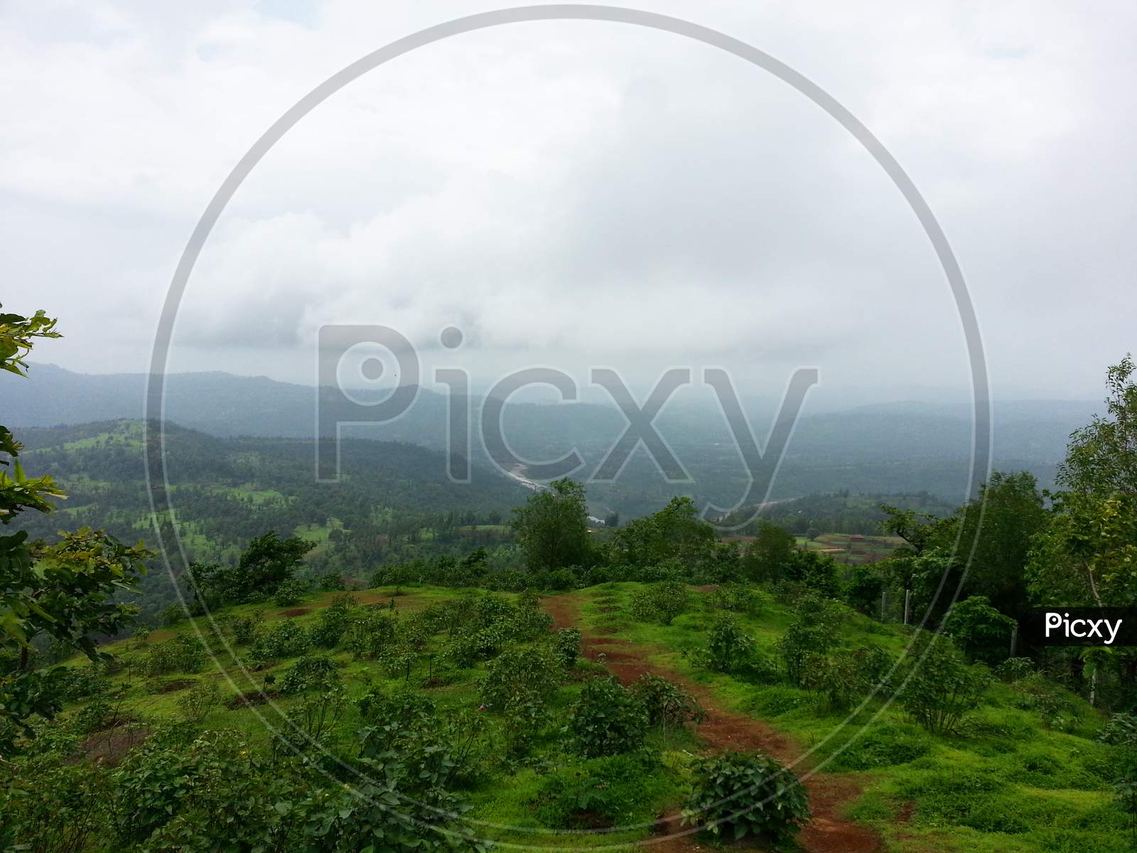 View Of Green Forest From Wilson Hills, A Hill Station In South Gujarat, India.