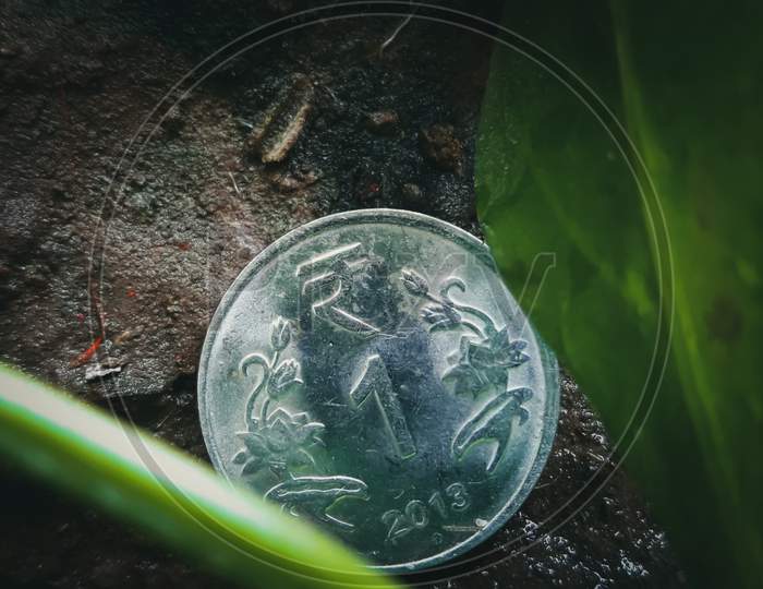 1 Rupee Coin In The Soil With Leaves