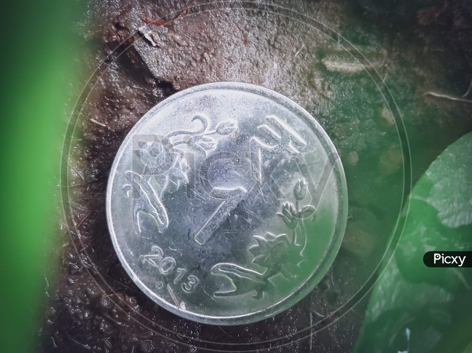 1 Rupee Coin In The Dust With Leaves