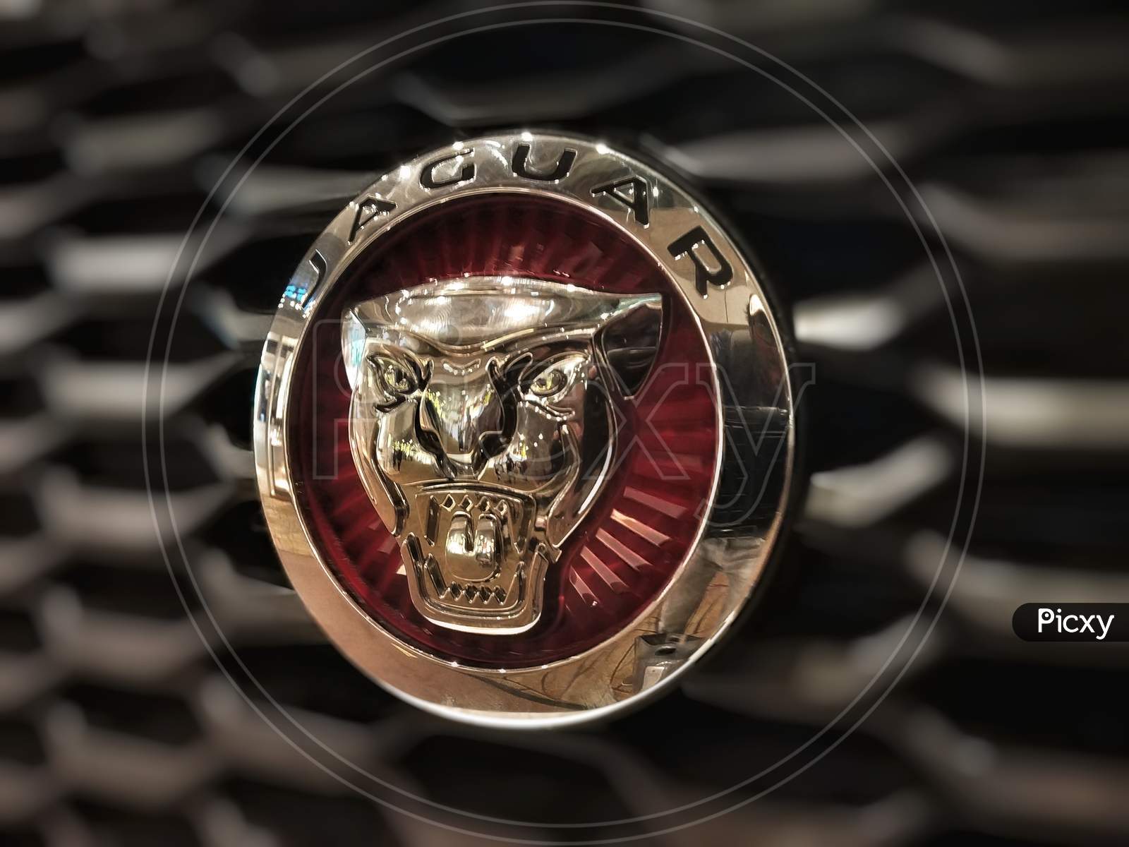Jaguar brand logo