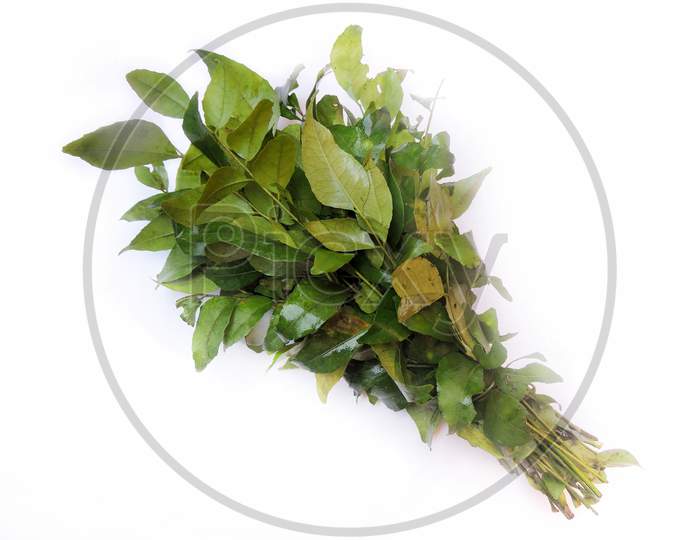Leafy vegetable - Curry leaves