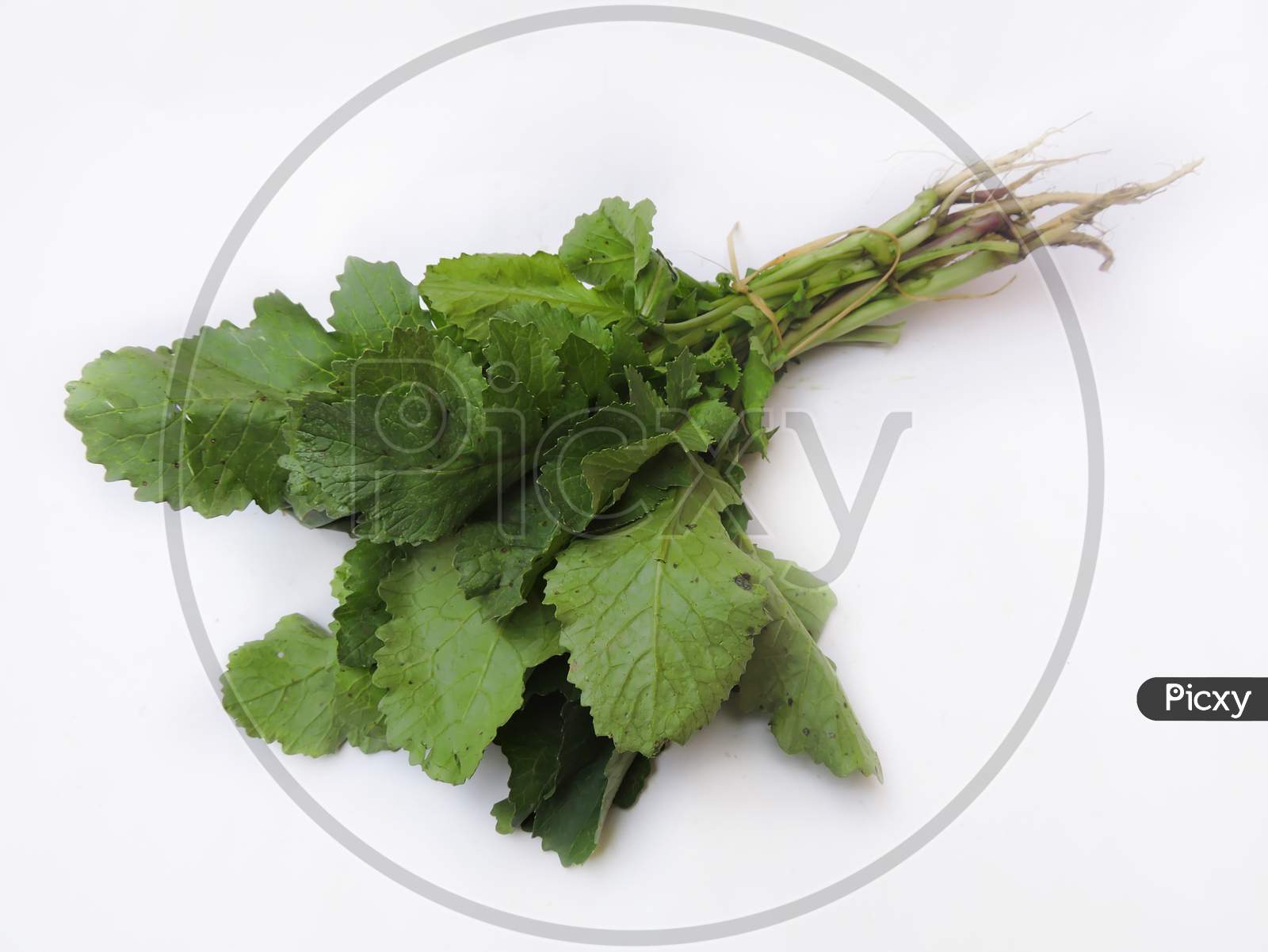 Leafy vegetable - Radish leaves