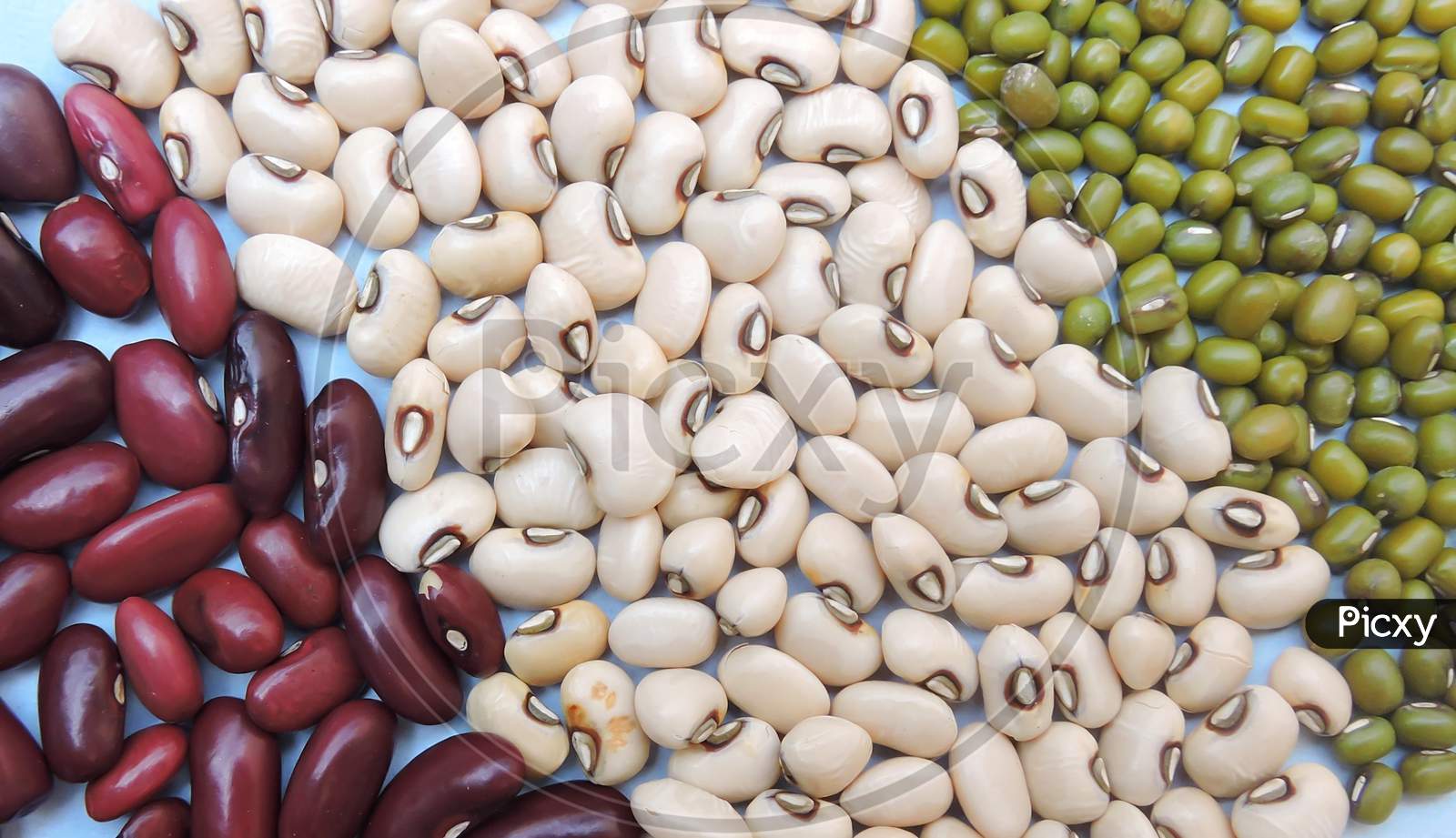 Three widely consumed beans in India