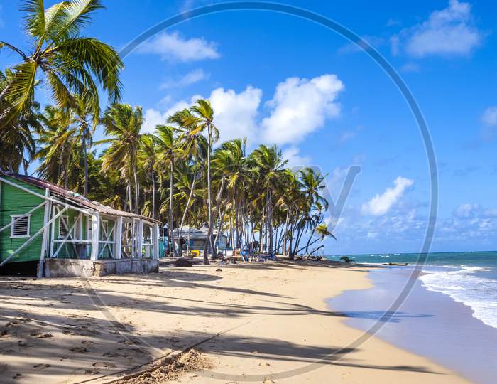 A Caribbean beach with a beach hut
