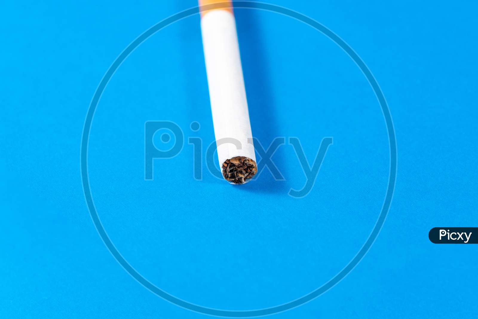 Tobacco Cigarette Close Up With Blue Background