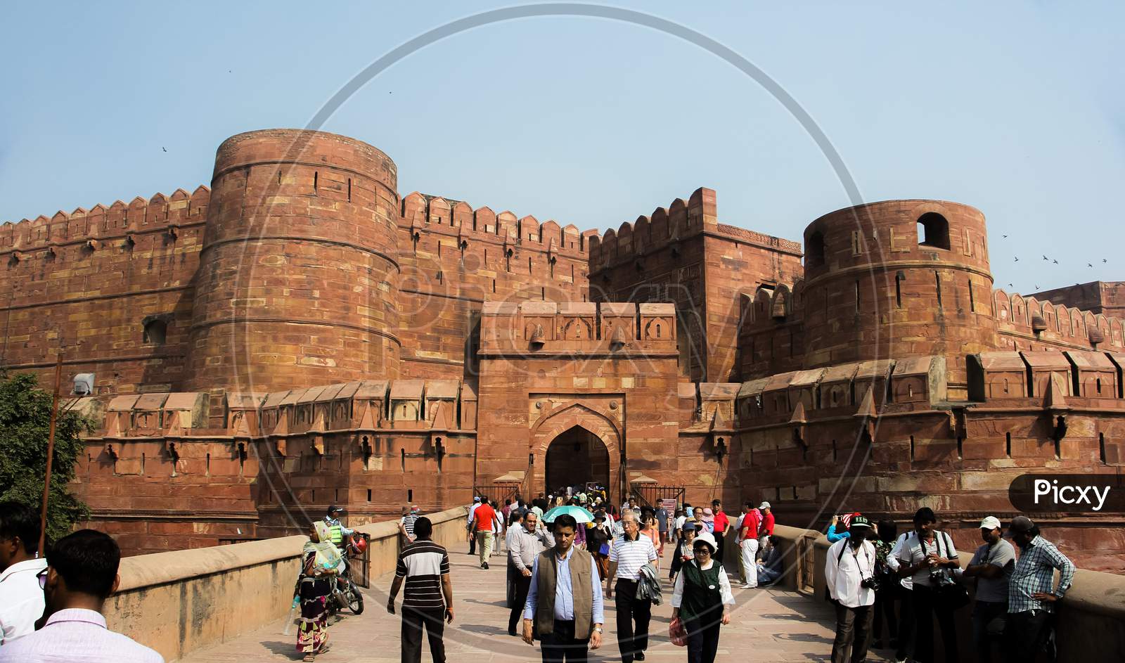 Historic red sandstone fort of medieval India at sunrise. Agra Fort is a UNESCO World Heritage site in the city of Agra India.