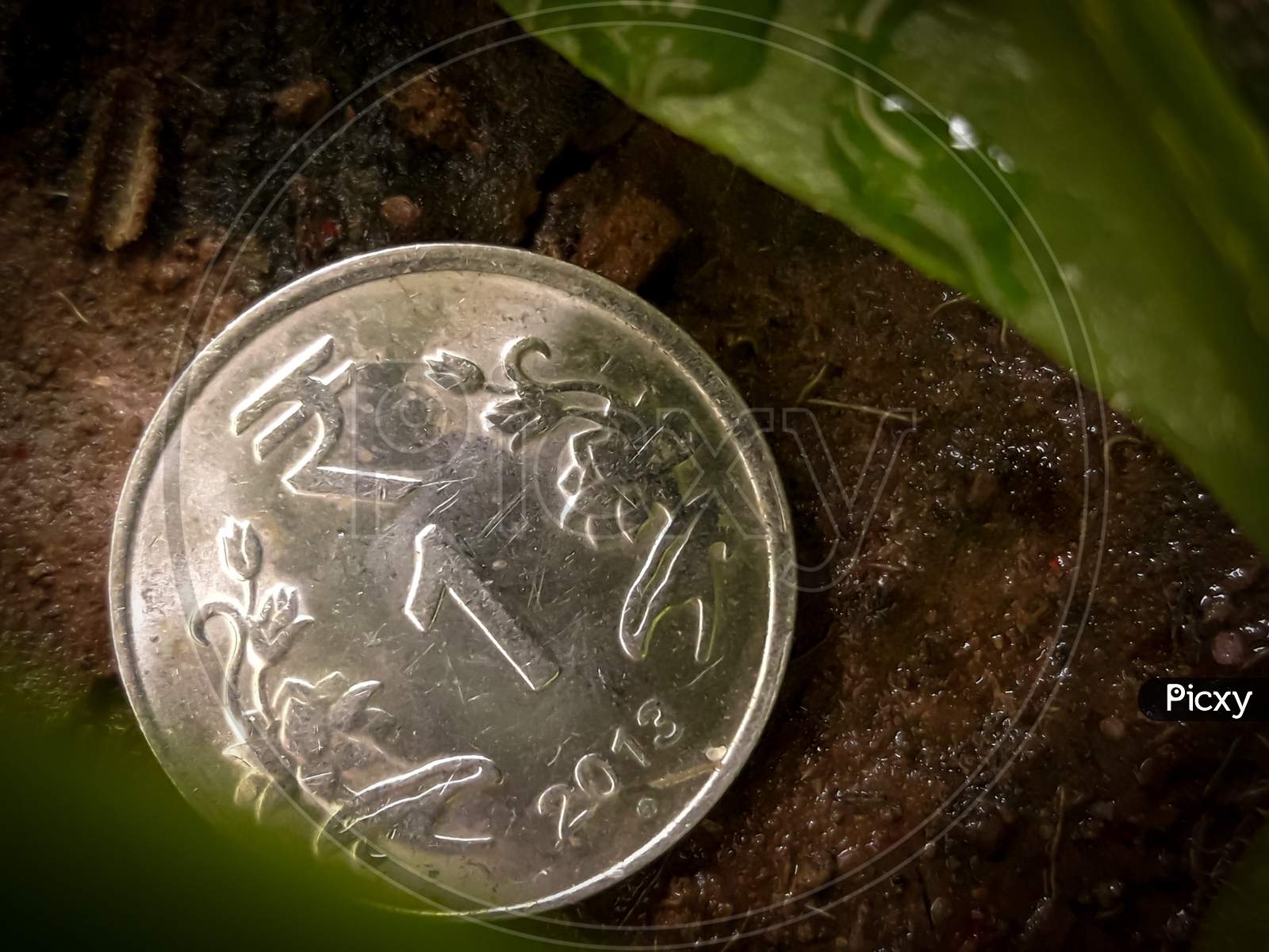 1 Rupee Coin On The Ground With Leaves