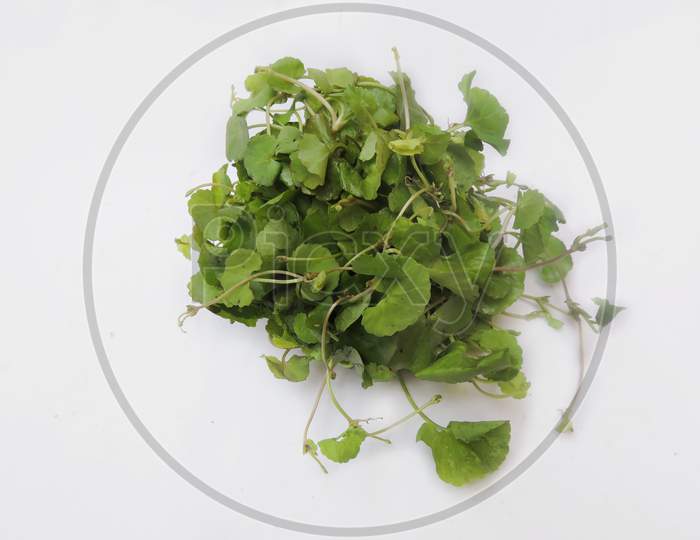 Leafy vegetable - Asiatic pennywort