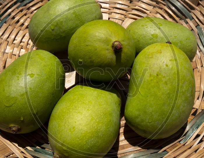 close up view of raw green mangoes
