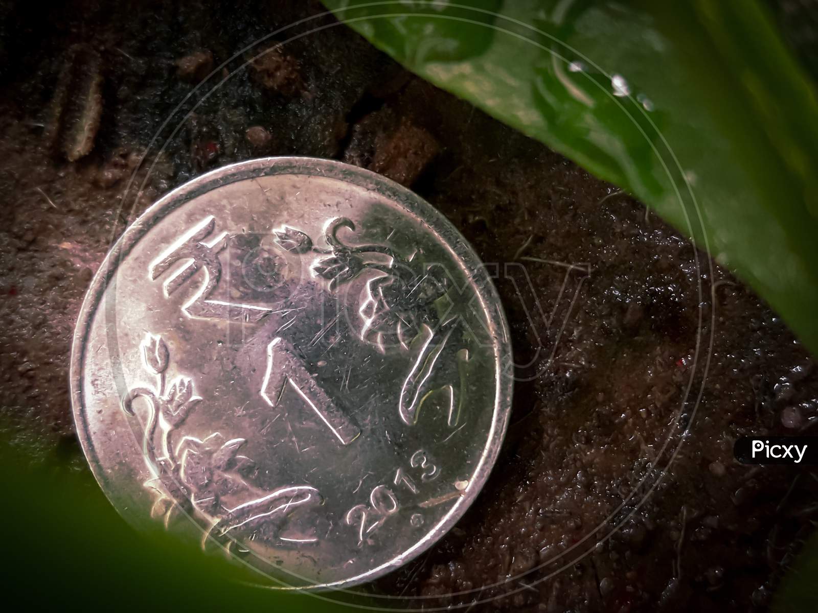 1 Rupee Coin On The Ground With Leaf