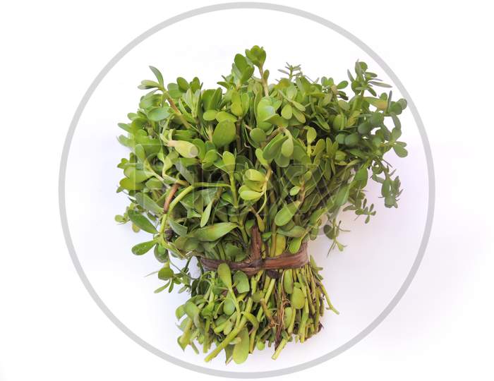 Leafy vegetable- Water hyssop or Indian pennywort