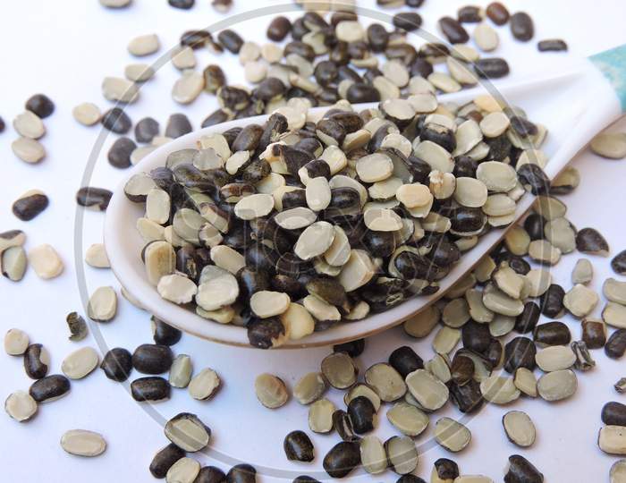 Black gram lentil