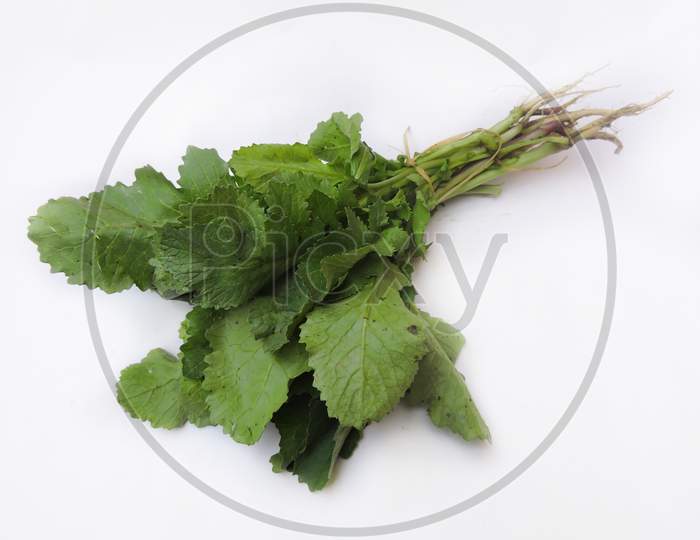 Leafy vegetable - Radish leaves