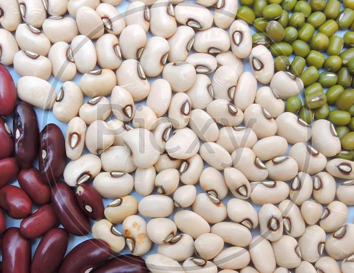 Three widely consumed beans in India