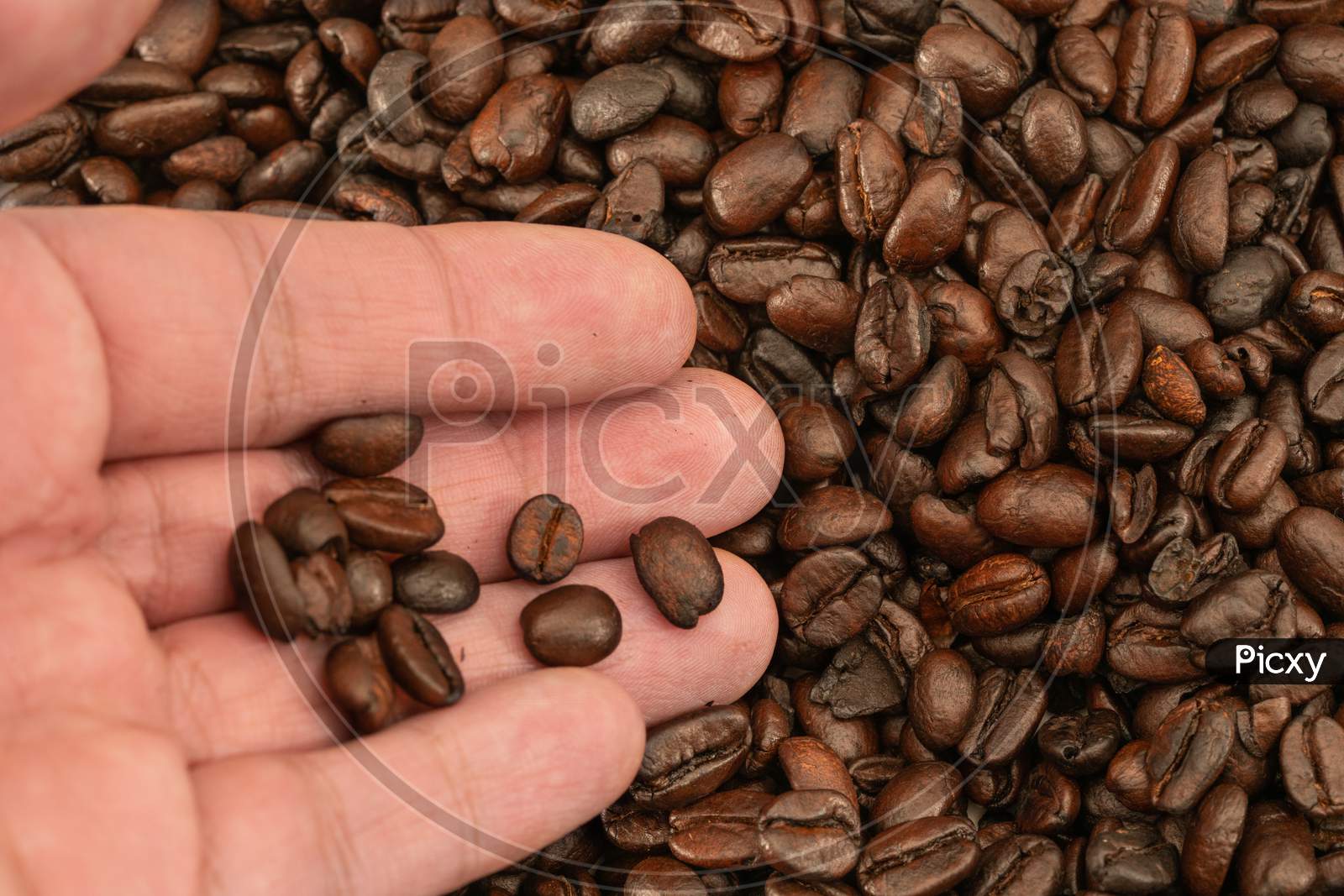 Roasted Coffee Beans, Can Be Used As A Background