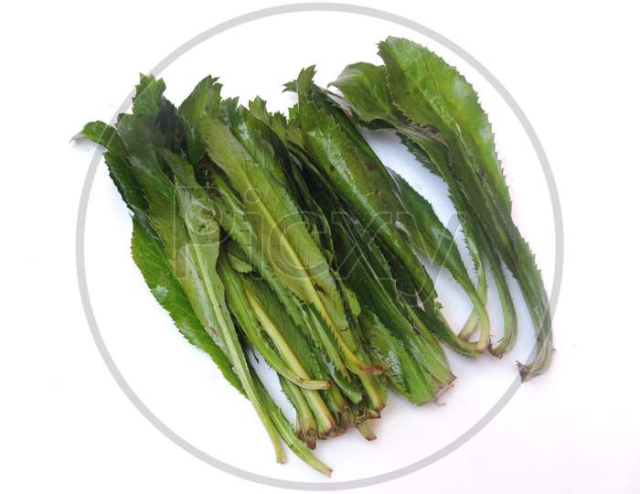 Leafy vegetable - sawtooth coriander or culantro.