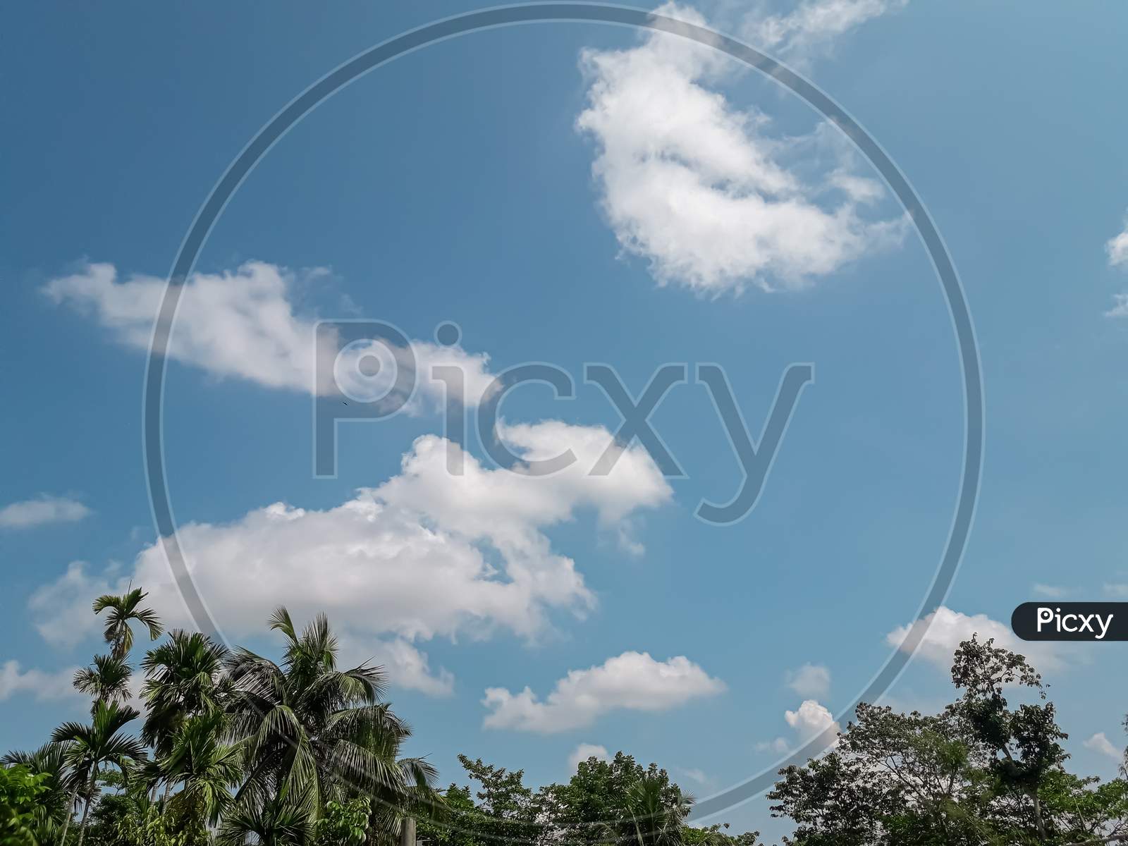 Blue sky with some clouds and trees witch is a beautiful landscape picture