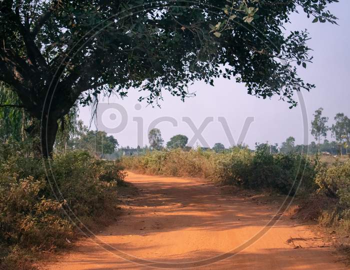 A Road Cutting Through The Fields In A Village