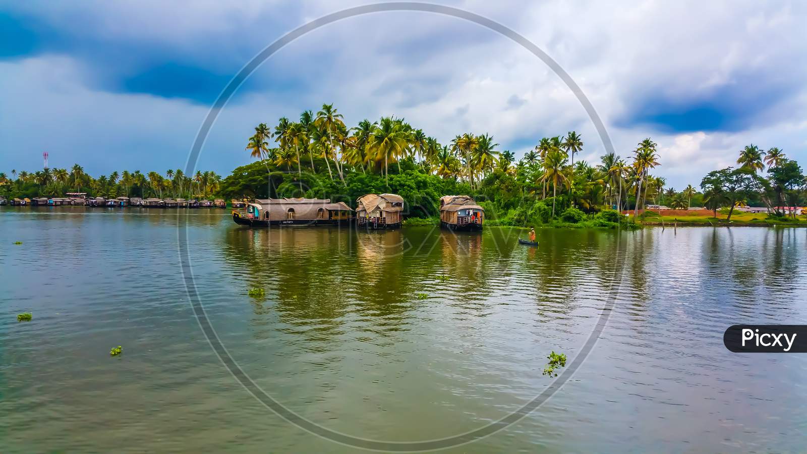 Houseboats anchored on the backwaters of kerala