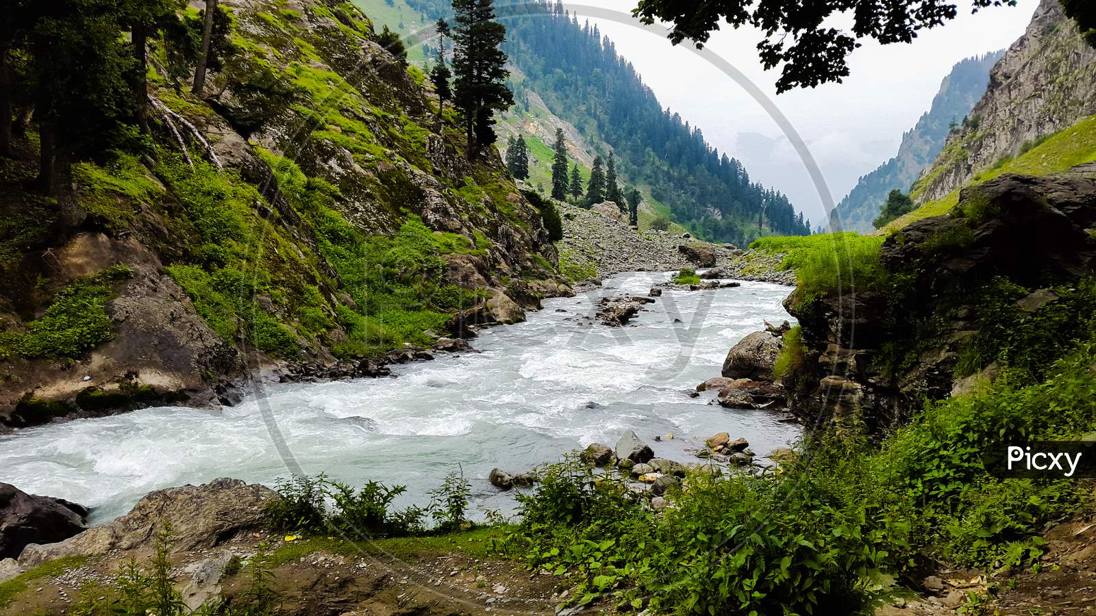 River flows through green Himalayas
