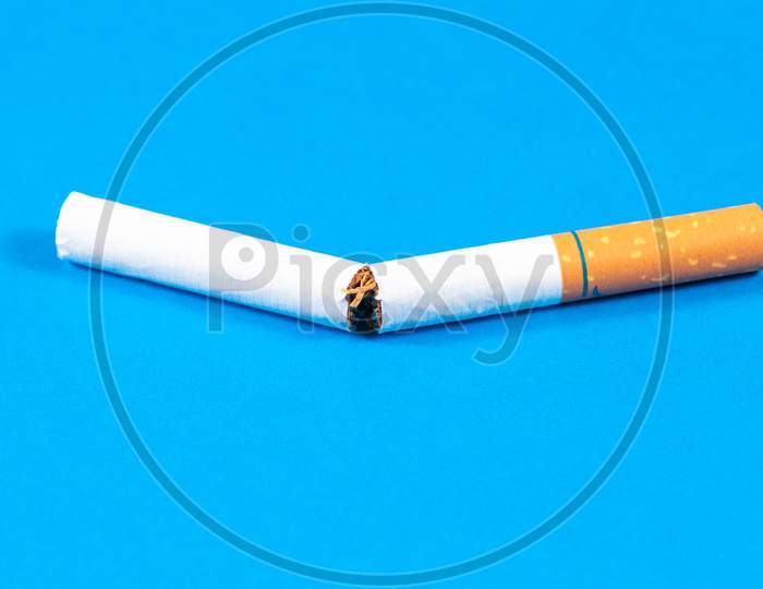 Tobacco Cigarette Broken Close Up With Blue Background