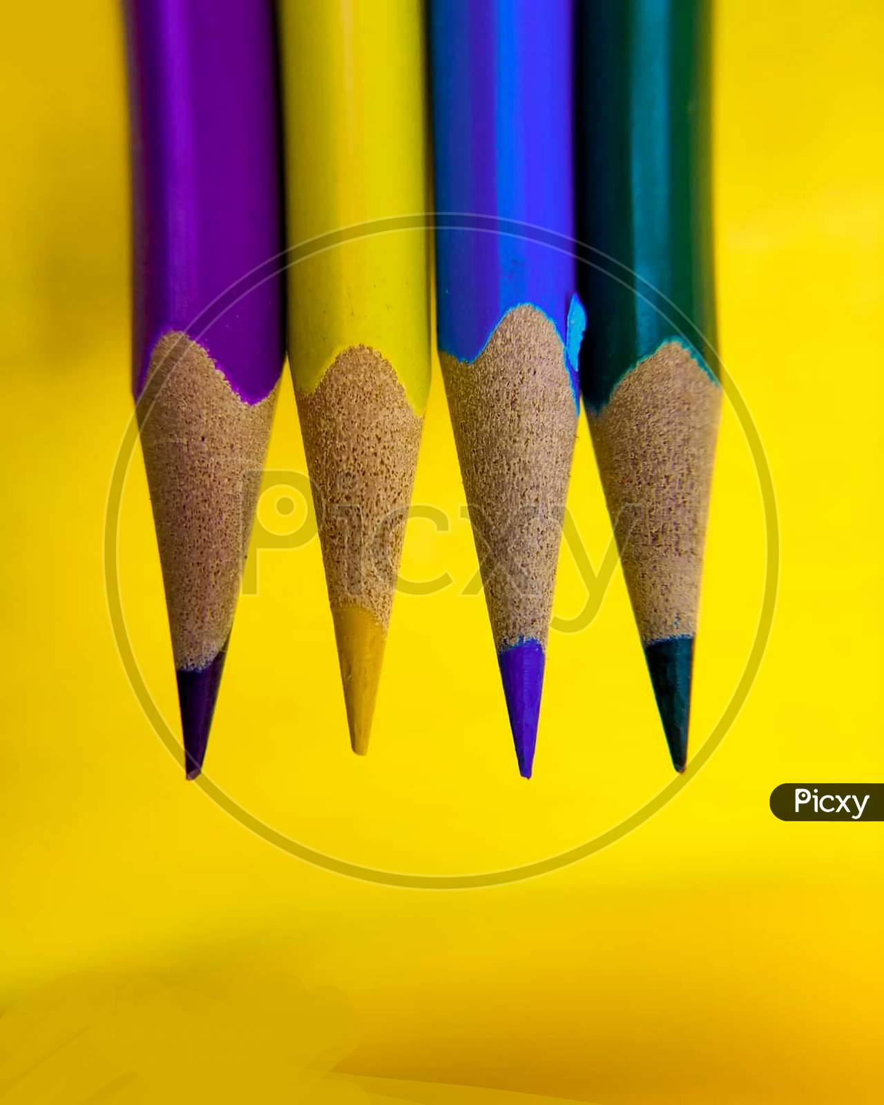 Four color pencils in yellow background