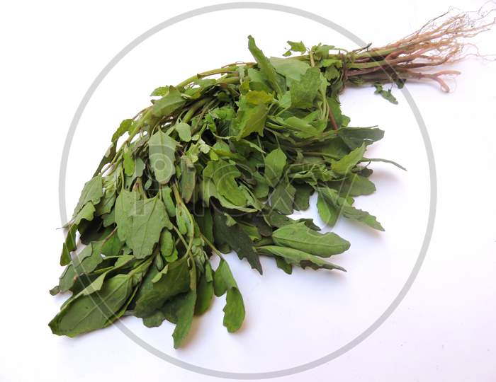 Leafy vegetable - White goose foot or Bathua