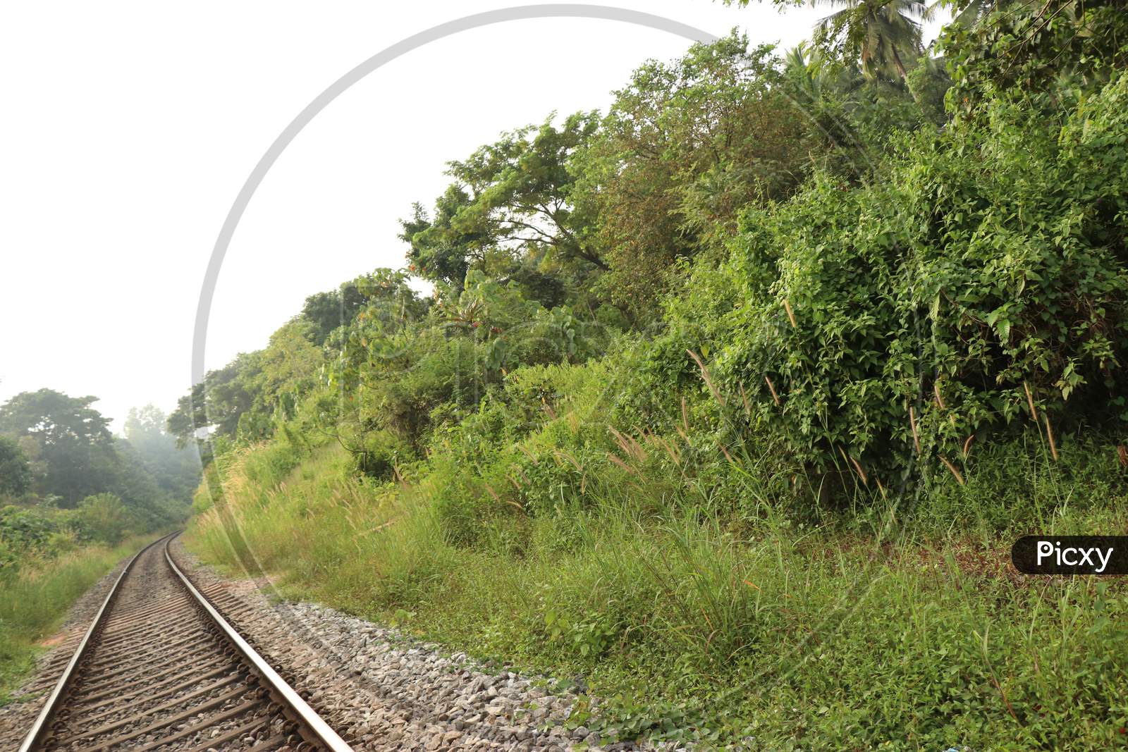 Photo Of Railway Track Which Goes In Between The Nature