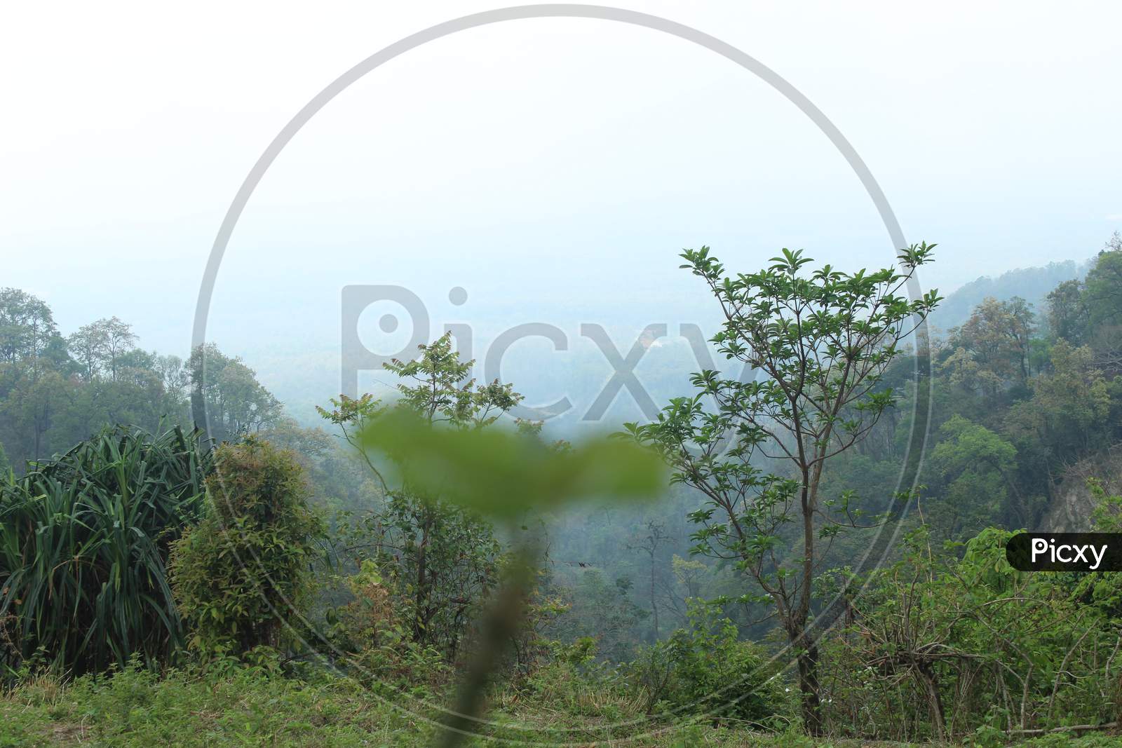 View Of Clouds And Vastness Of Greenery From The Mountain Top