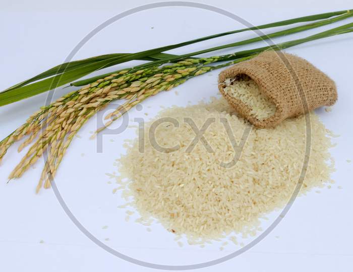 Brown Rice Uncooked In A Bag With A Pile Of Brown Rice With Over A Full Spoonful Of Rice And Spike Rice On White Background