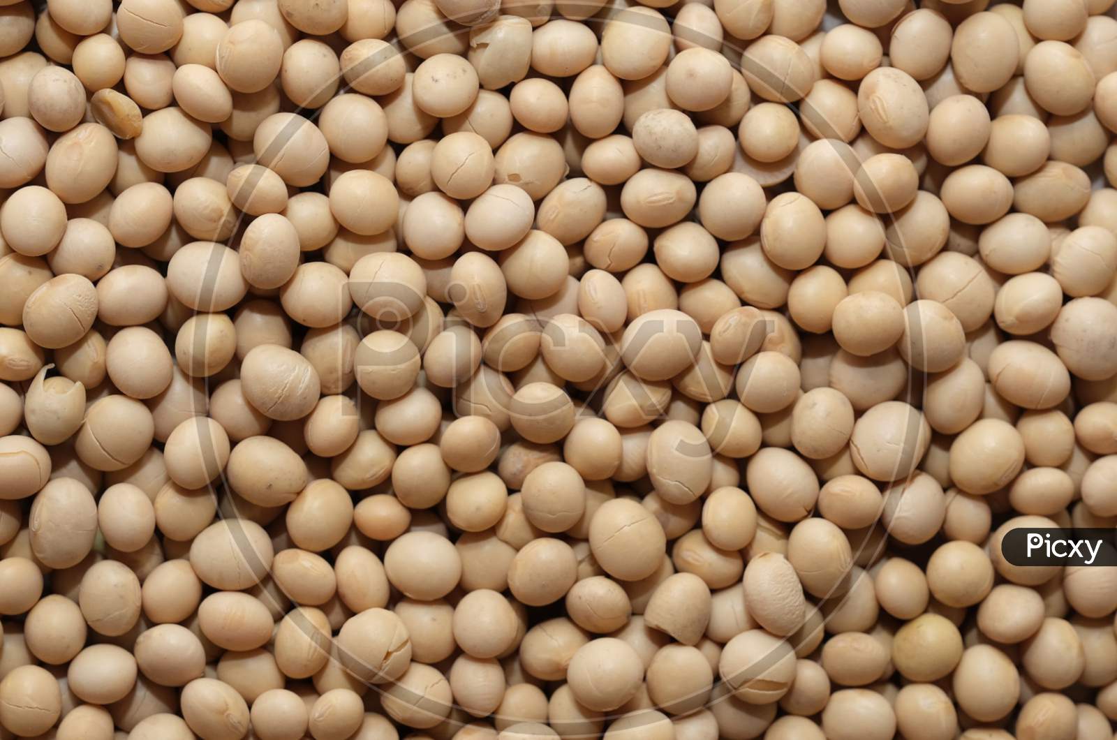 Soyabean texture,soya background, vegetable protein.
