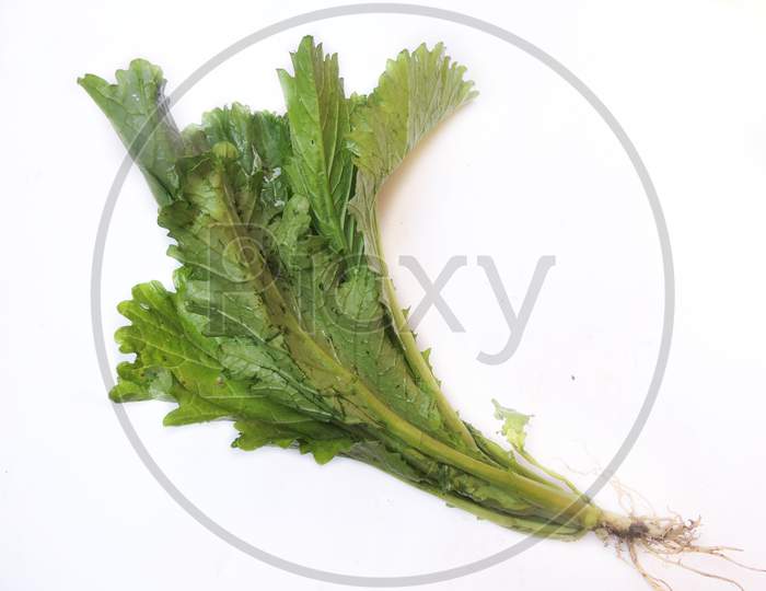Leafy vegetable - Vegetable mustard or Lai xaag