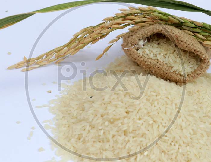 Brown Rice Uncooked In A Bag With A Pile Of Brown Rice With Over A Full Spoonful Of Rice And Spike Rice On White Background