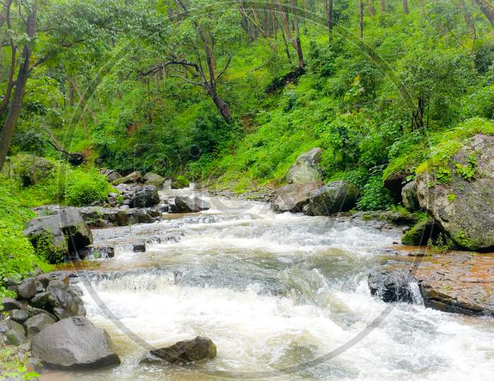 Narmada river flows through forest in Amarkantak