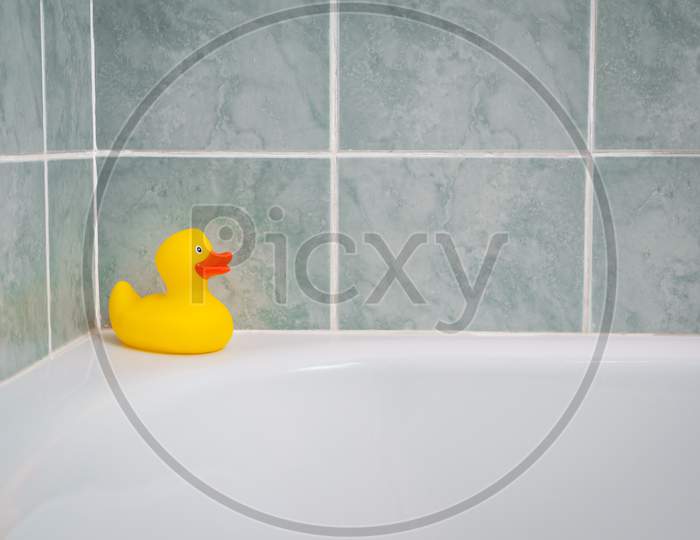 Yellow rubber duck in the bathroom