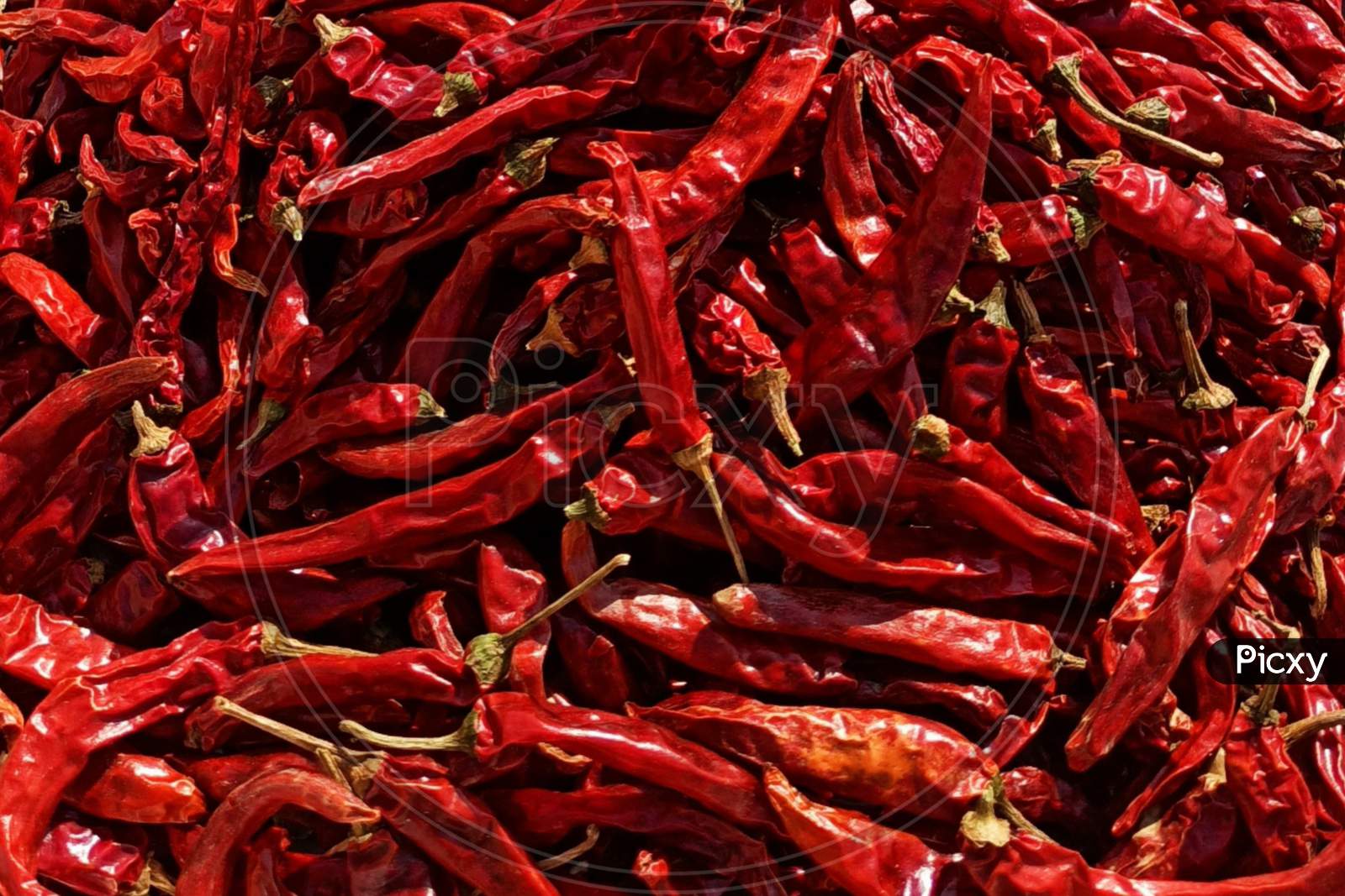 Close-up dry red chilies background.Dried chili peppers background