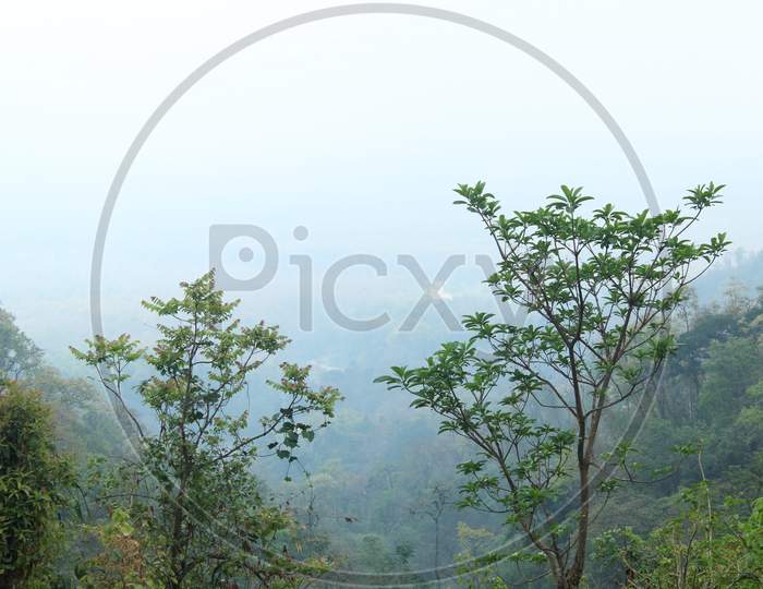 View Of Clouds And Vastness Of Greenery From The Mountain Top