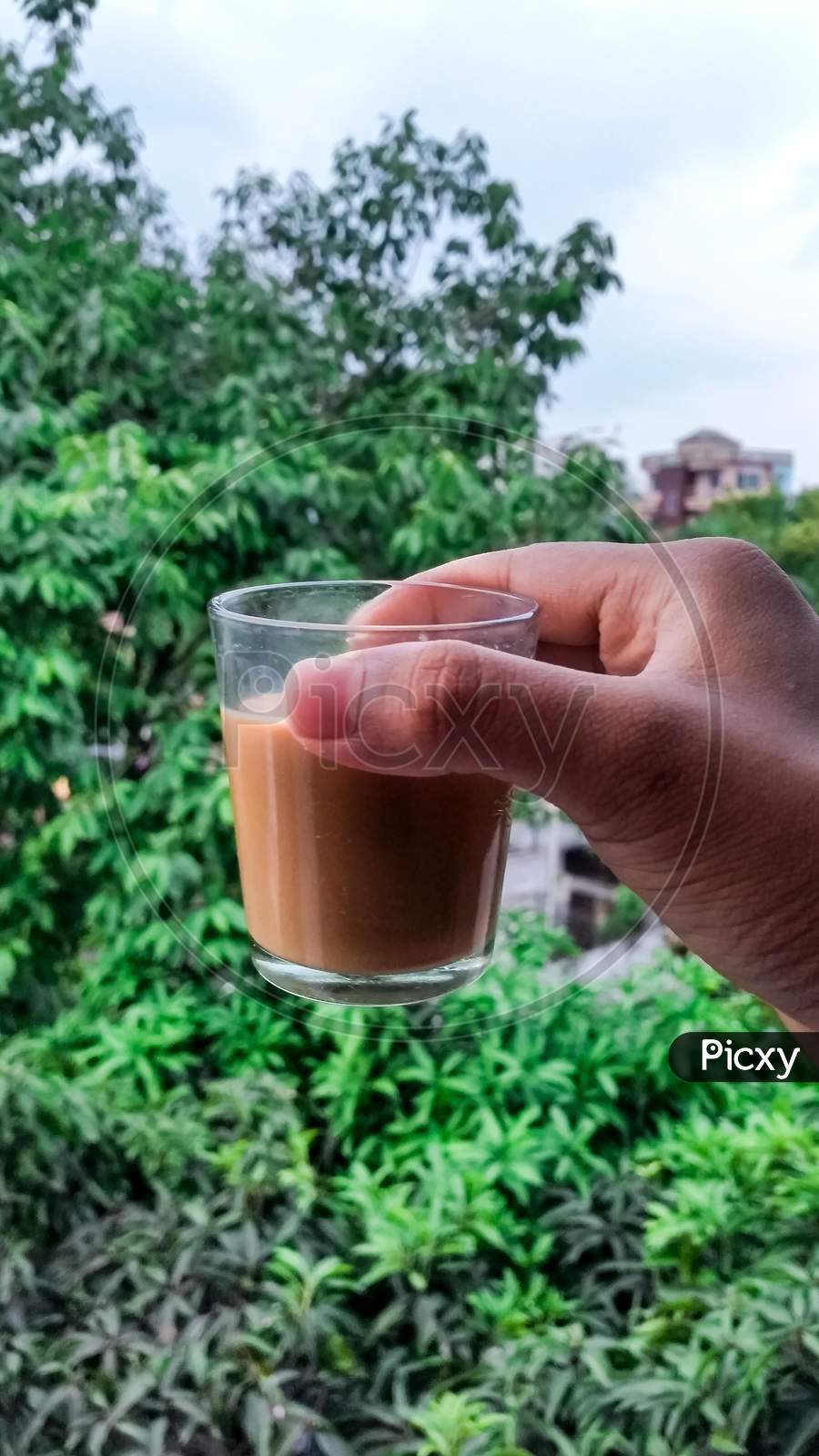Indian Cutting Chai tea & Nature’s environment