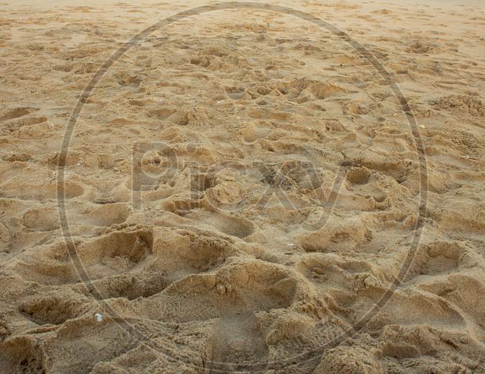 Beach Sand With Foot Prints Of The Visitors In Pulicat Beach, Tamil Nadu, India. Footprints In Sand.