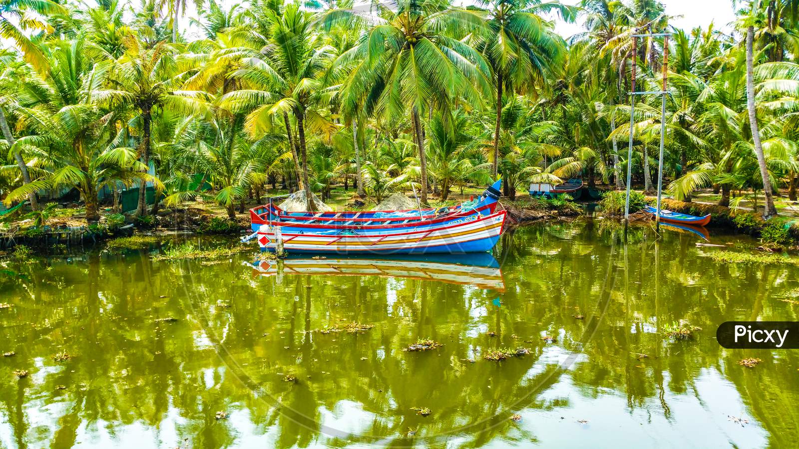 Boat anchored in the backwaters of kerala