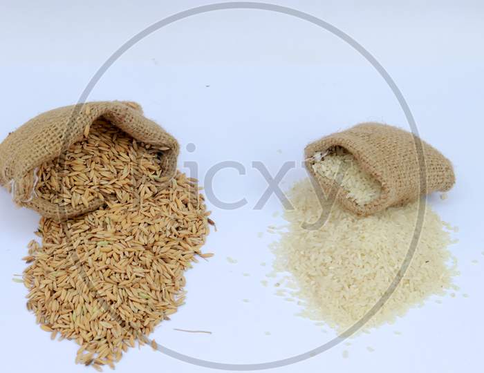 Paddy Rice With A Rice Uncooked In A Bag With Rice Pile Form The Field Of Farmland On The White Background
