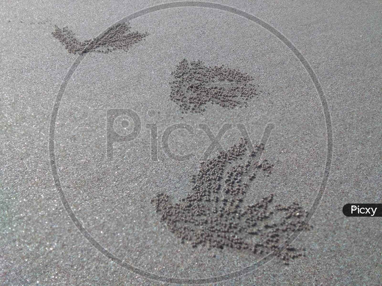 Weird texture at beach in foot print shape