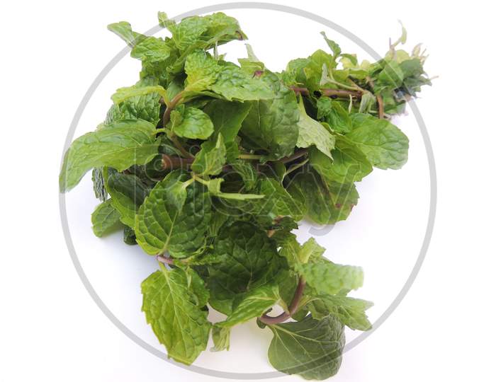 Leafy vegetables - Mint