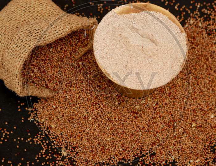 Indian Grains Ragi with Flour Cup and Burlap Bag Isolated On Black Background