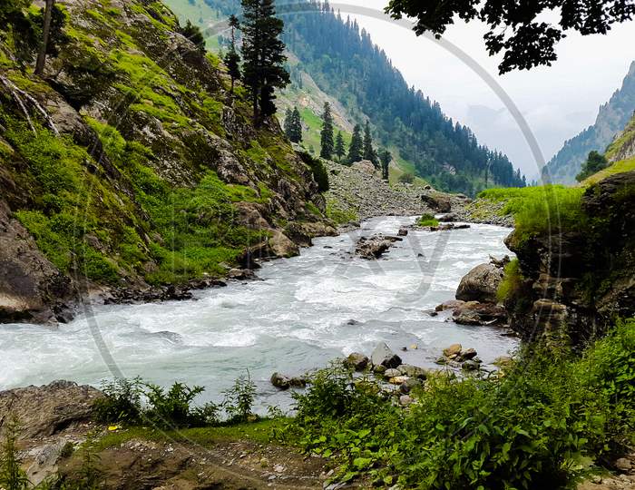 River flows through green Himalayas