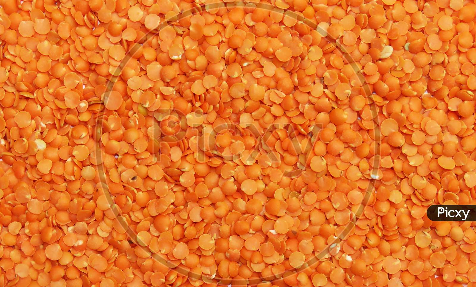 Yellow Mung dal seeds,Isolated Yellow Mung dal.