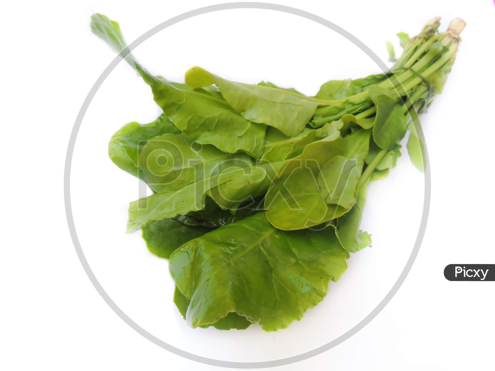 Leafy vegetable Spinach