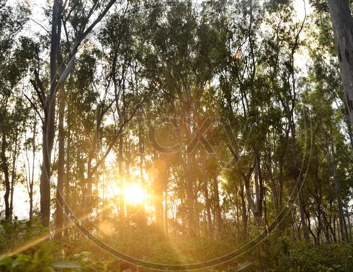Natural location Sun light Himachal pradesh India